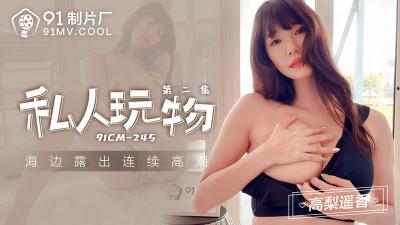 【91制片厂】91CM-245私人玩物第二集-高梨遥香